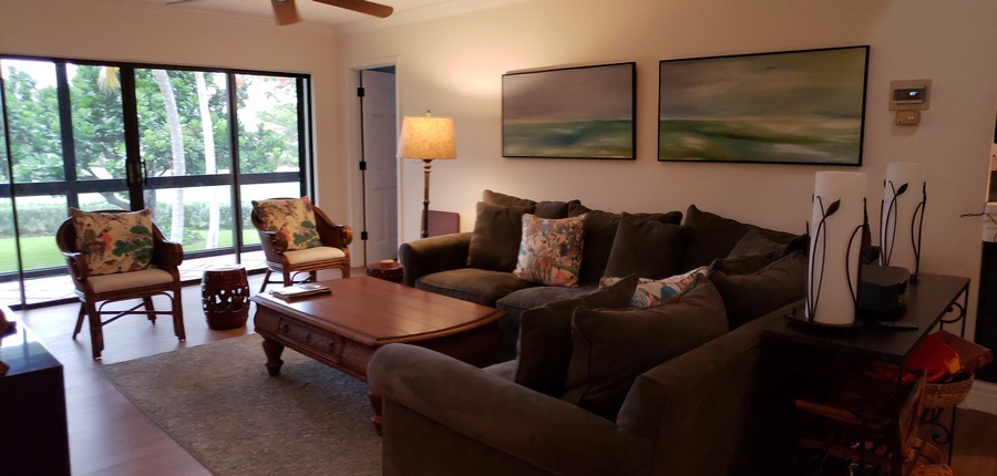 Living Room View